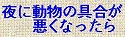 夜に動物の具合が悪くなったら