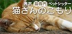 猫さんのこもり